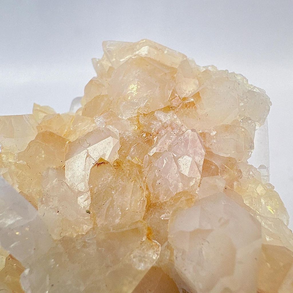 LINE_ALBUM_52430_231215_3