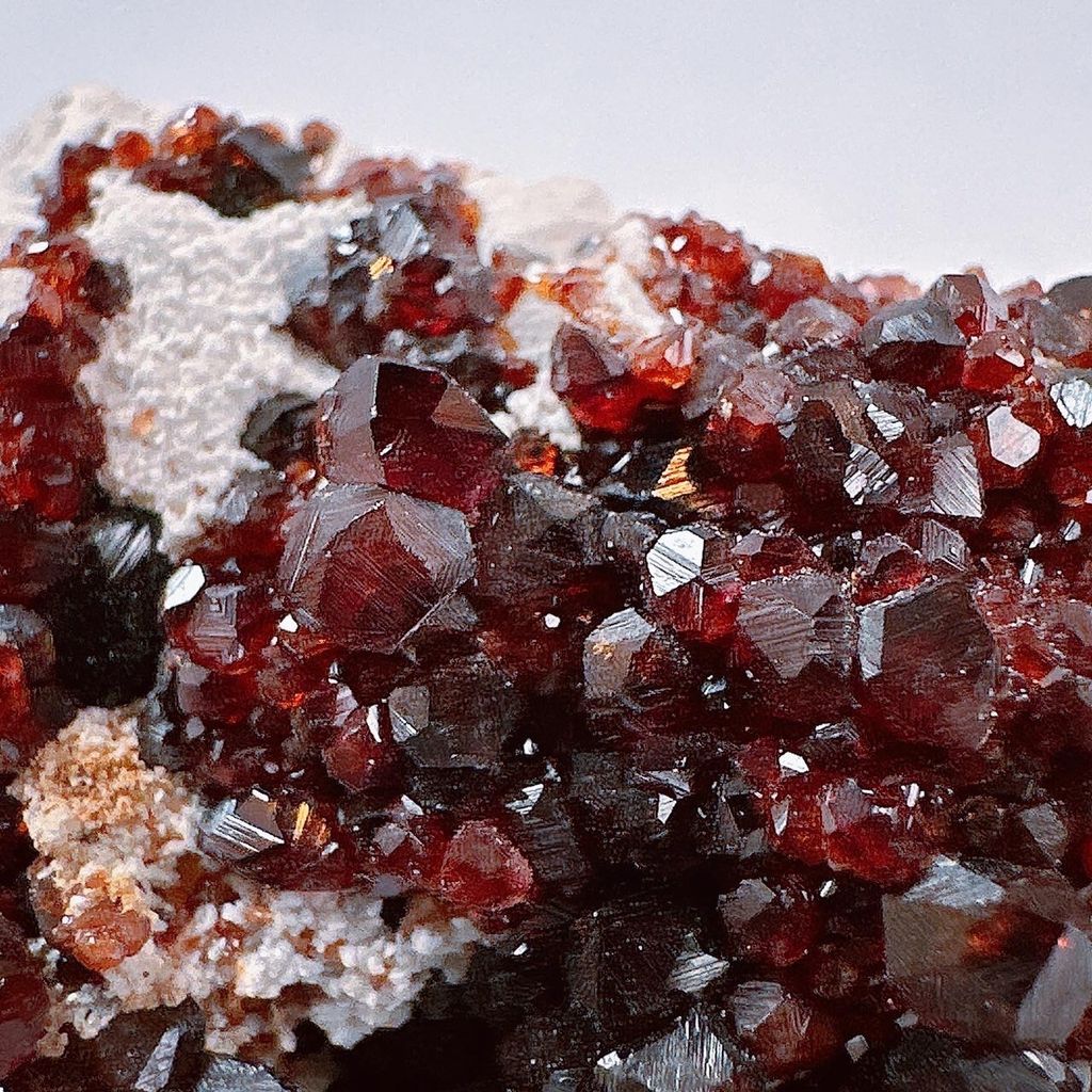 LINE_ALBUM_52438_231219_45