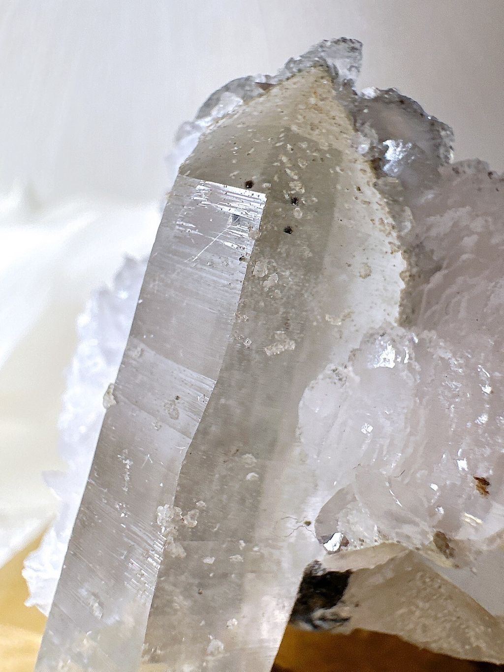 LINE_ALBUM_52442_231221_1