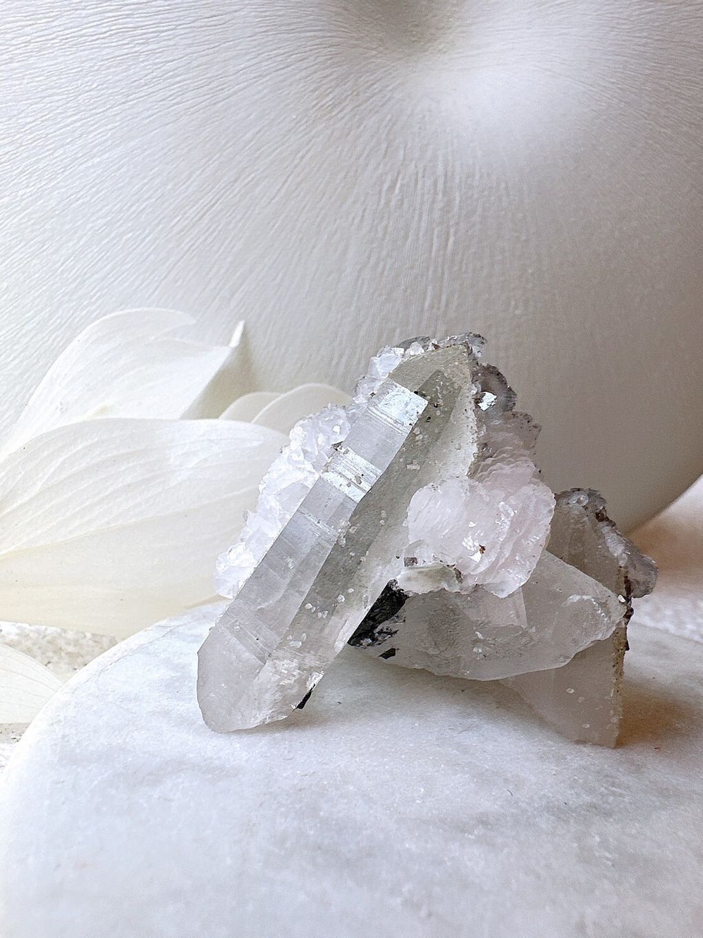 LINE_ALBUM_52442_231221_5