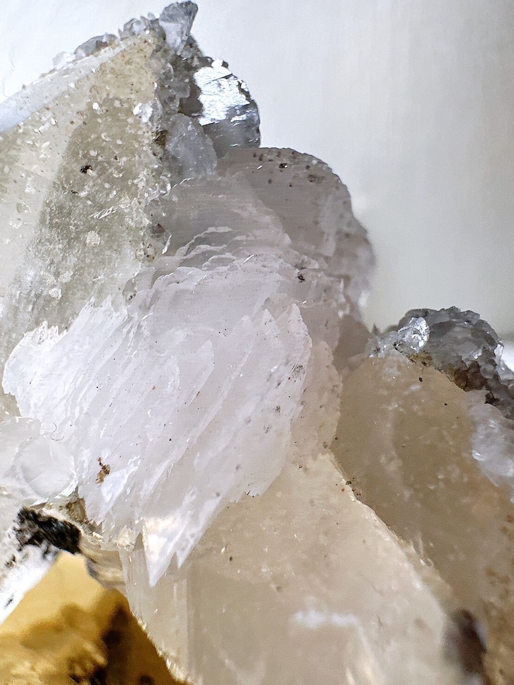 LINE_ALBUM_52442_231221_2