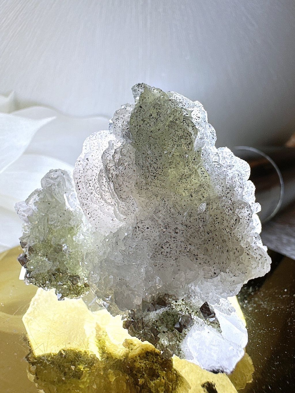 LINE_ALBUM_52442_231221_6