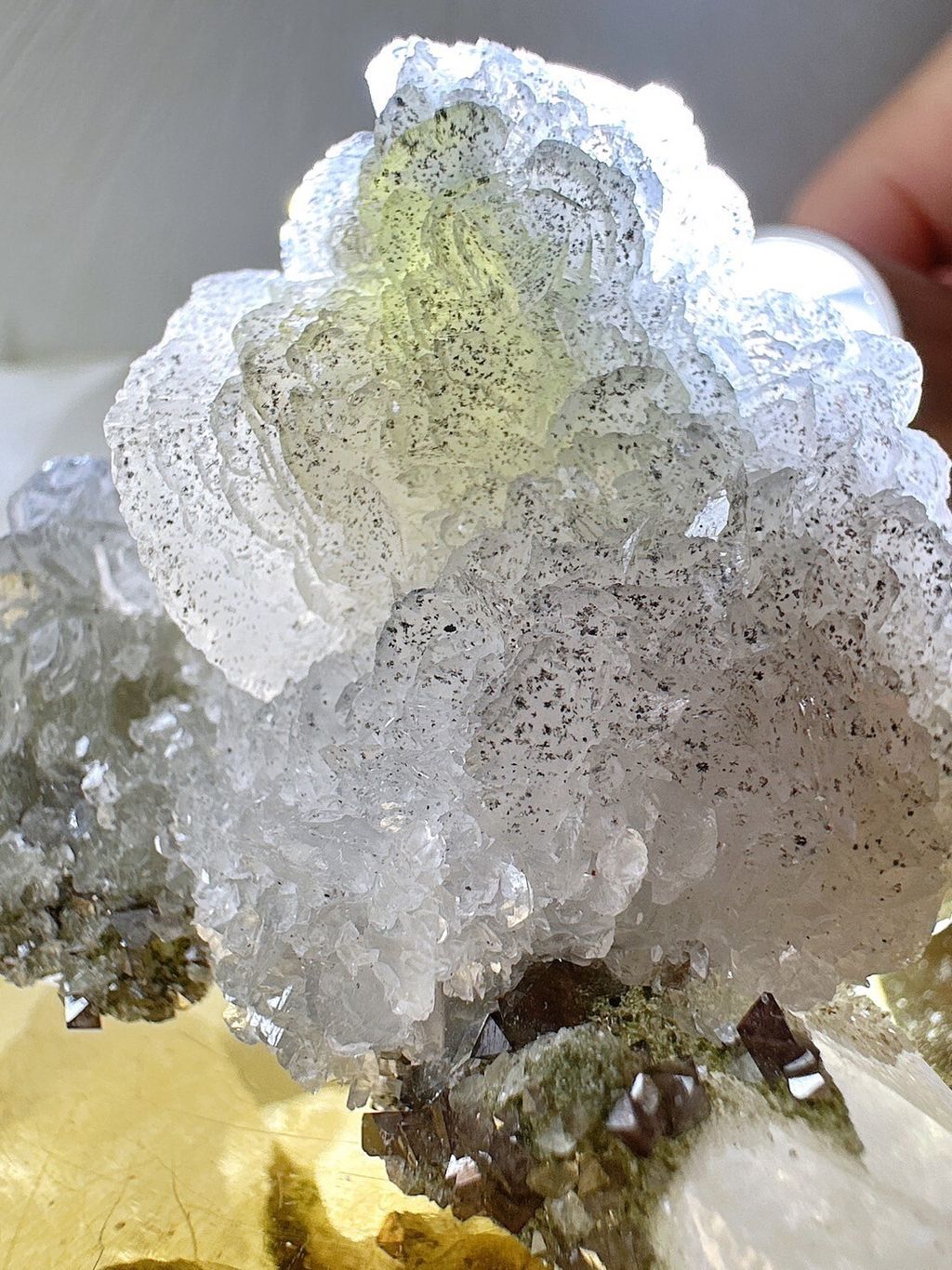 LINE_ALBUM_52442_231221_7