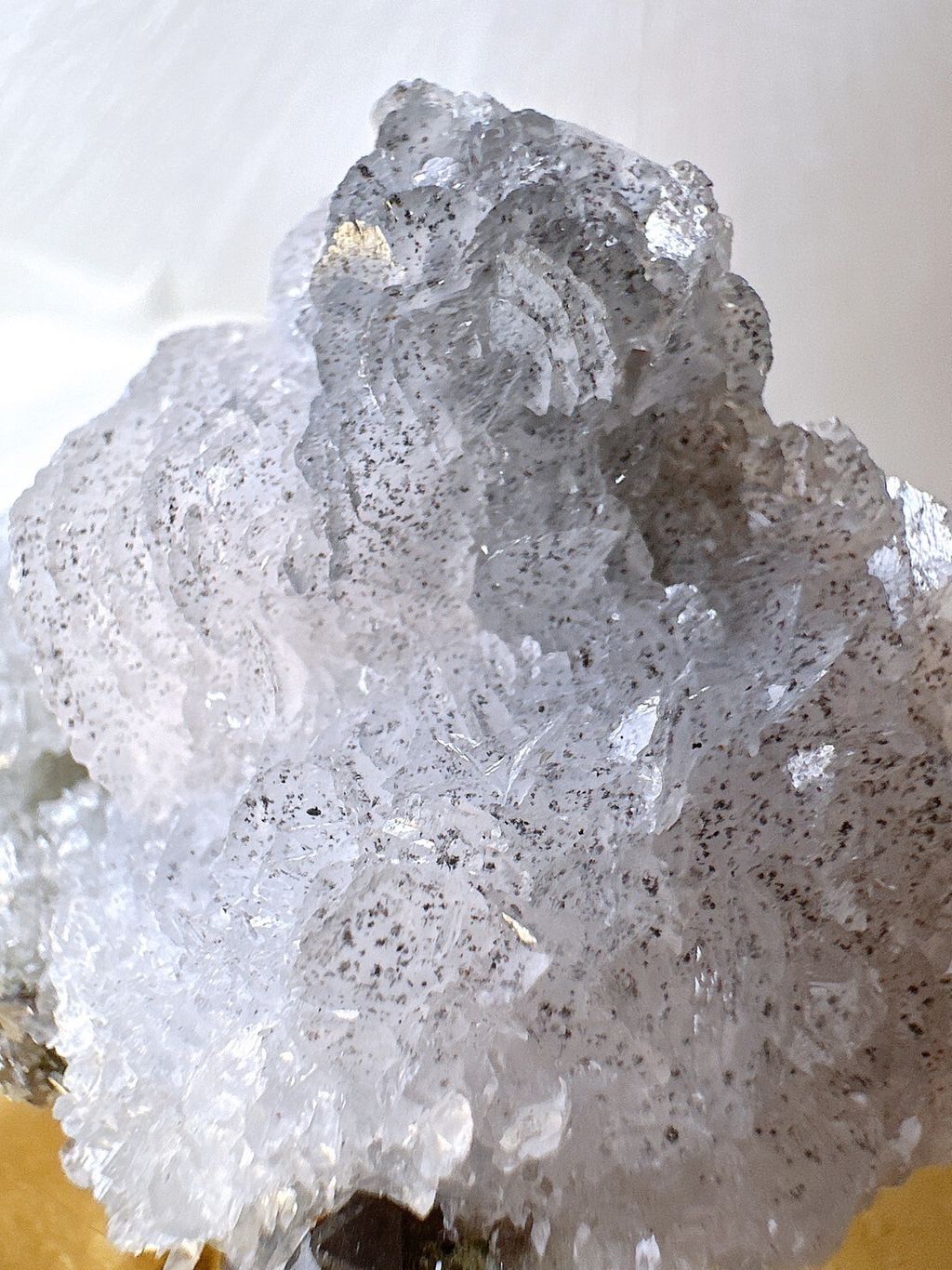 LINE_ALBUM_52442_231221_3