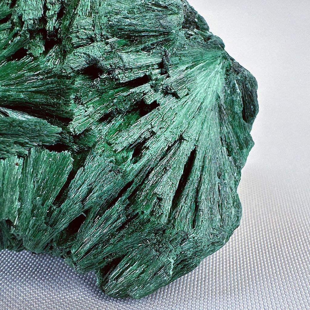 LINE_ALBUM_52442_231221_40