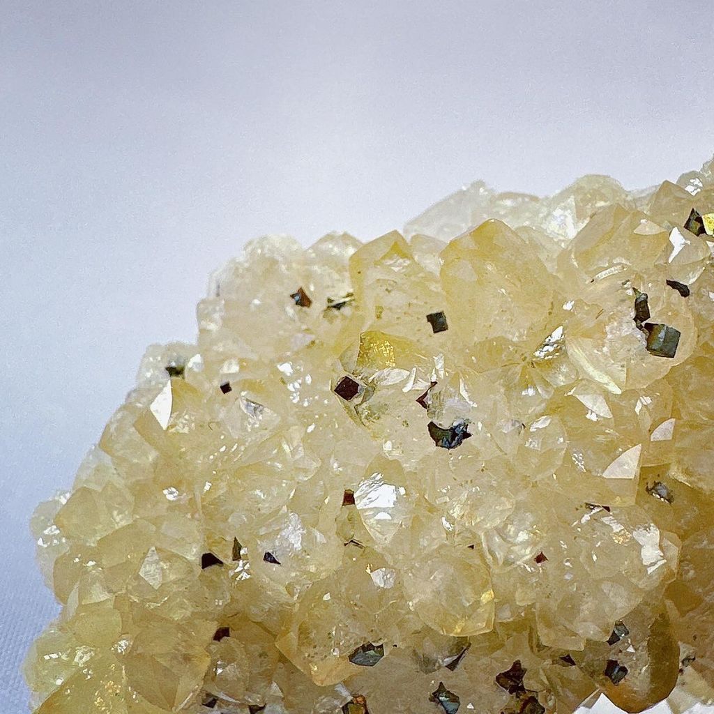 LINE_ALBUM_52444_231222_45