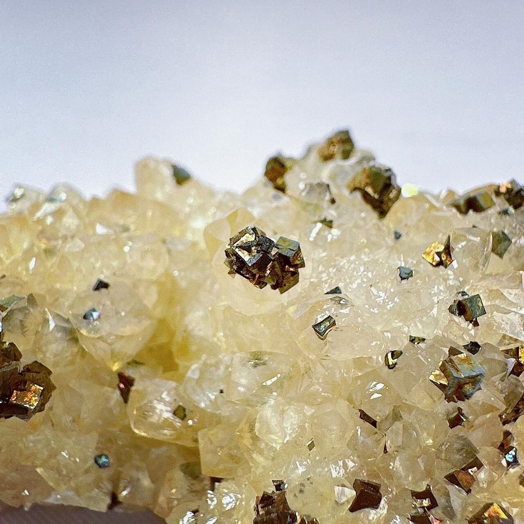 LINE_ALBUM_52444_231222_44