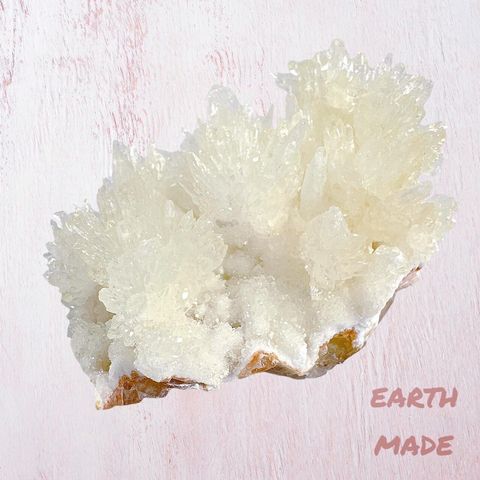 LINE_ALBUM_52444_231222_43