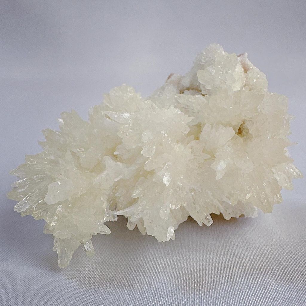 LINE_ALBUM_52444_231222_42