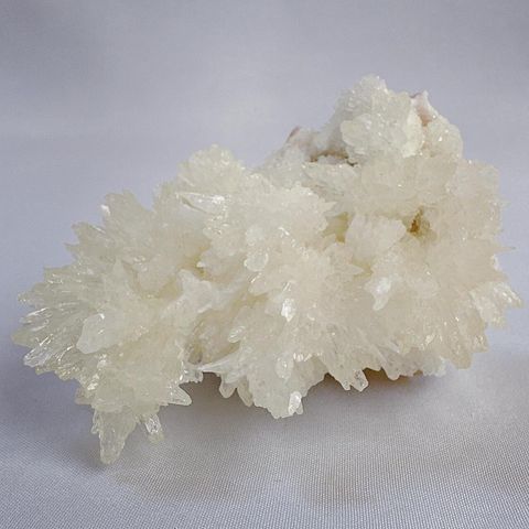 LINE_ALBUM_52444_231222_42