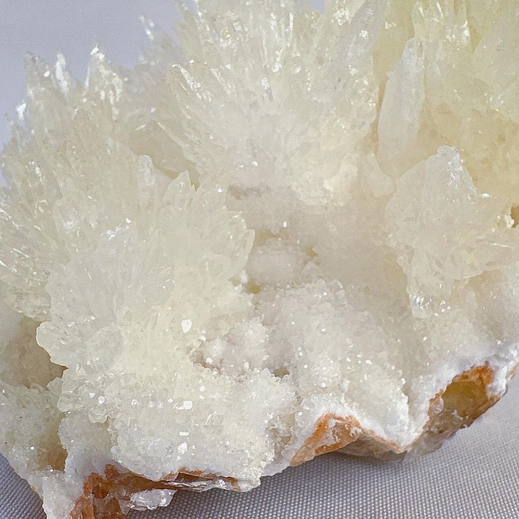 LINE_ALBUM_52444_231222_41