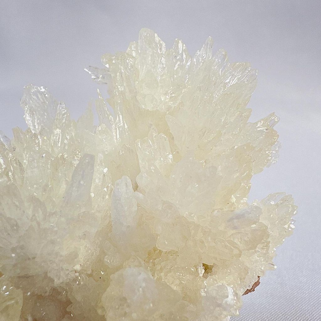 LINE_ALBUM_52444_231222_40