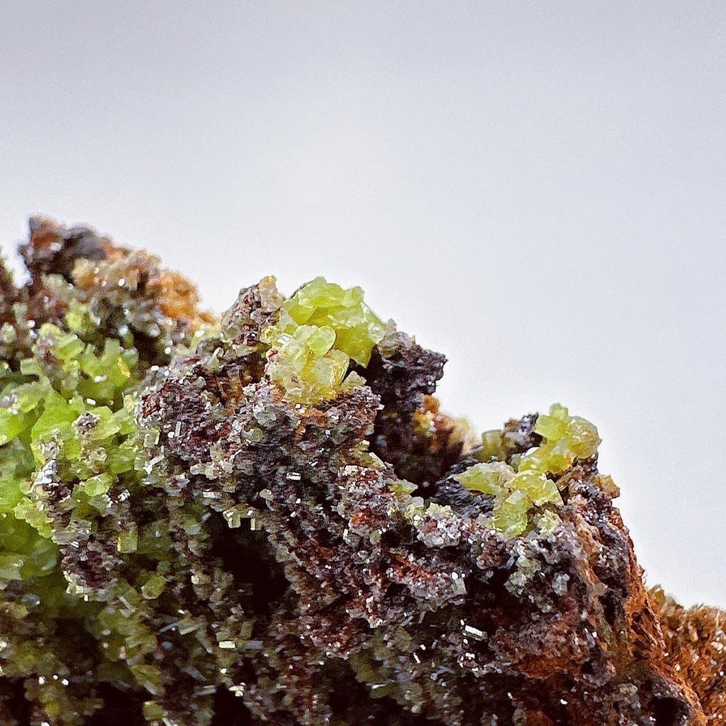 LINE_ALBUM_52446_231222_10