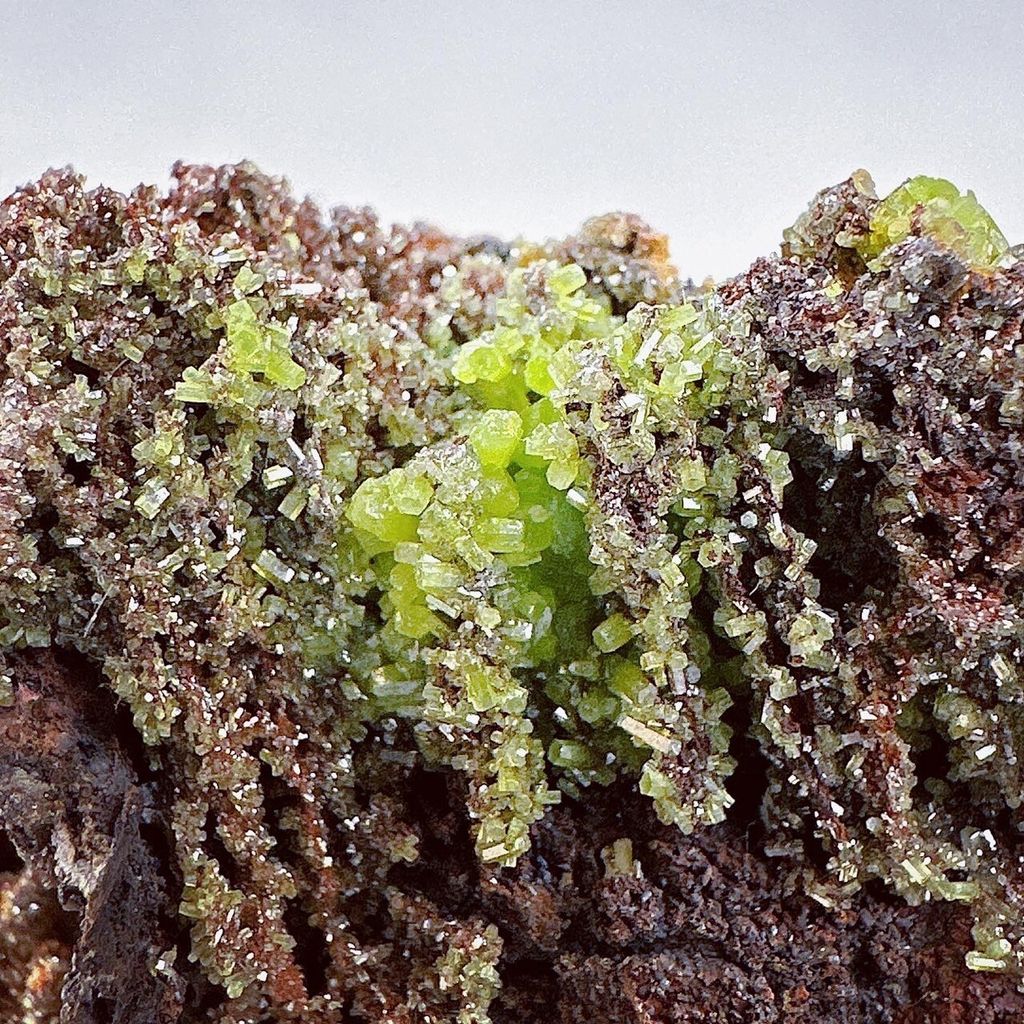 LINE_ALBUM_52446_231222_11