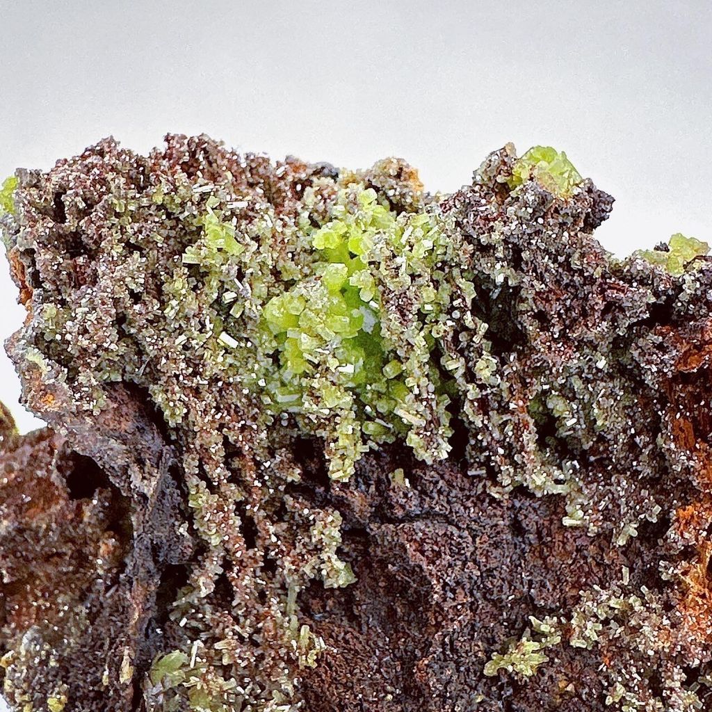 LINE_ALBUM_52446_231222_9