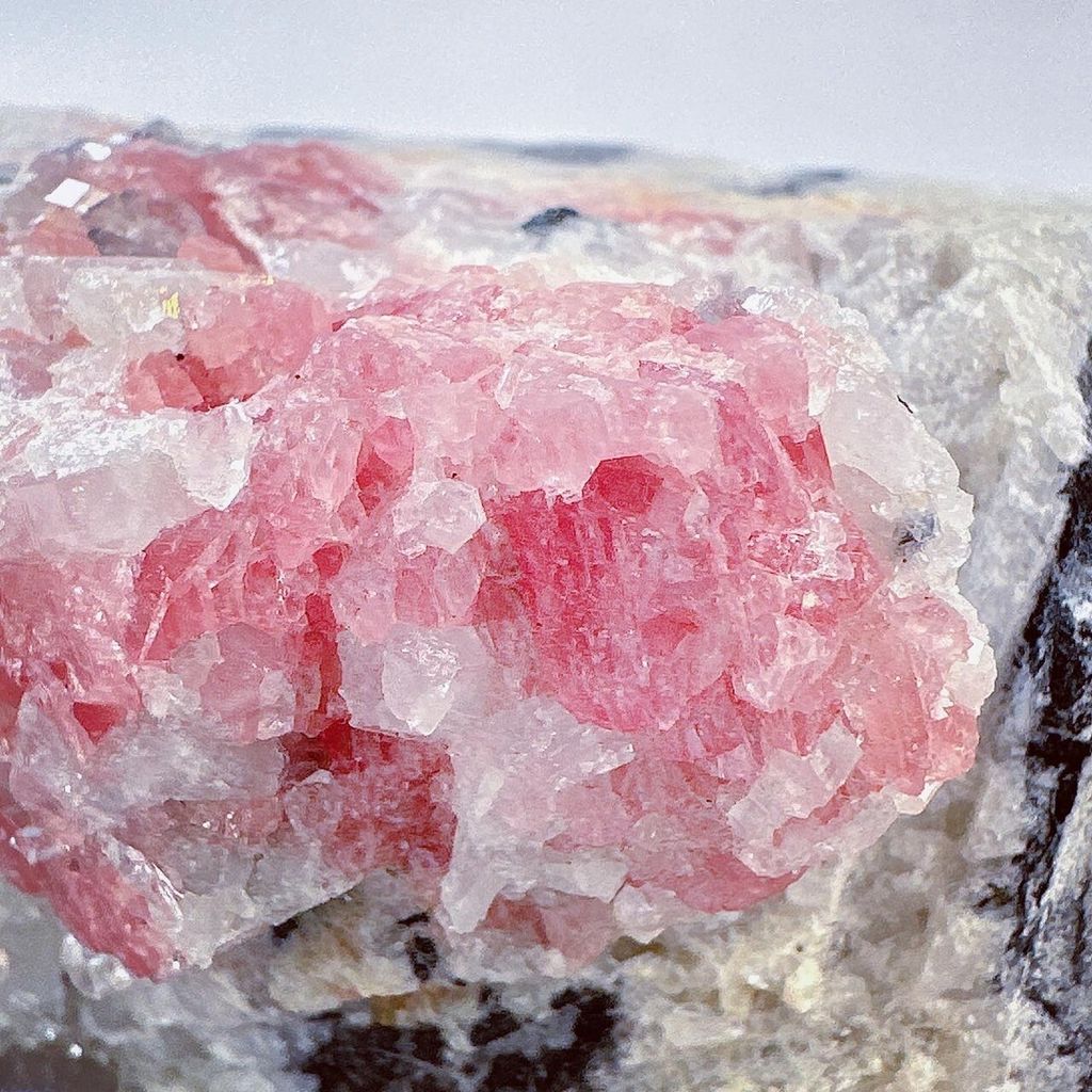 LINE_ALBUM_52446_231222_45