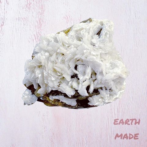 LINE_ALBUM_52446_231222_28