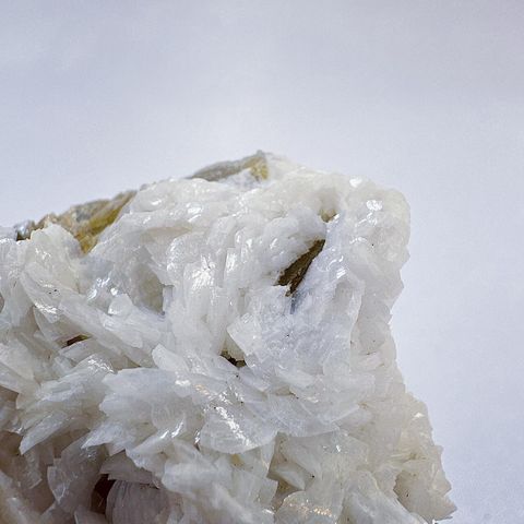 LINE_ALBUM_52446_231222_27