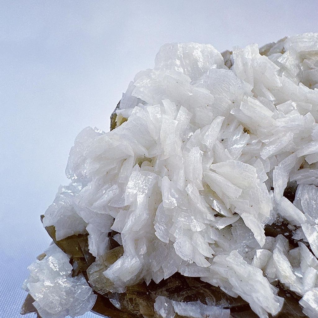 LINE_ALBUM_52446_231222_26