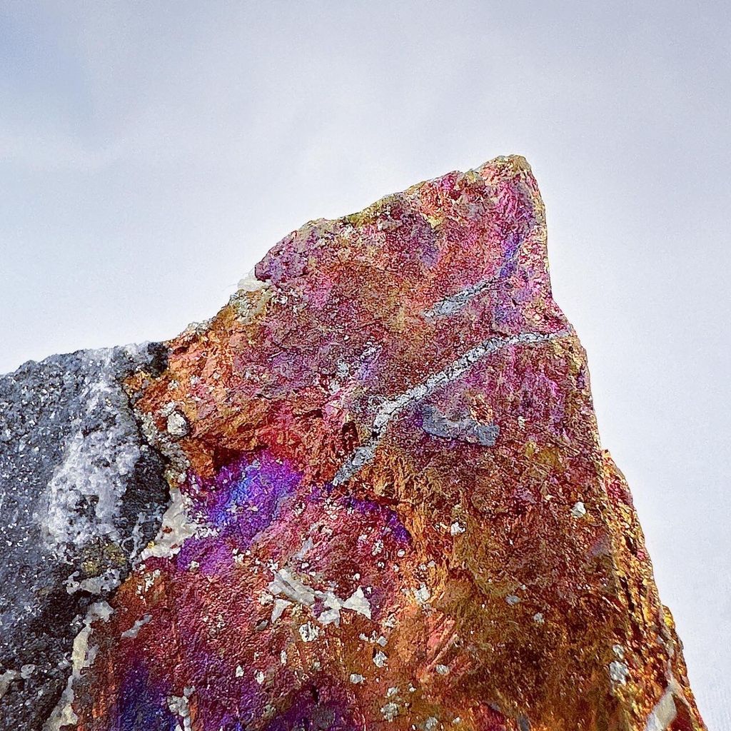 LINE_ALBUM_52450_231225_57