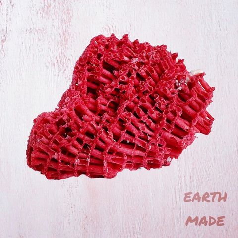 LINE_ALBUM_52452_231225_34