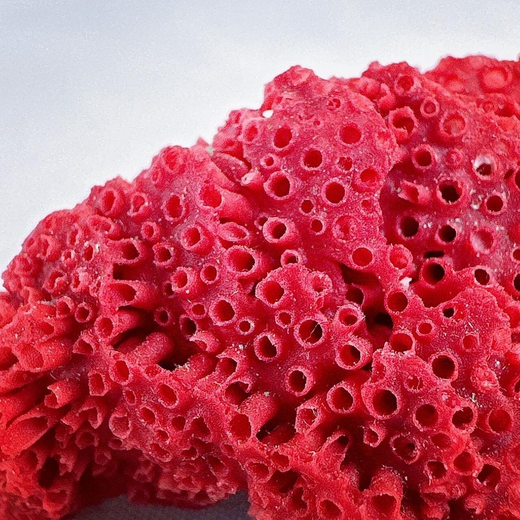 LINE_ALBUM_52452_231225_31