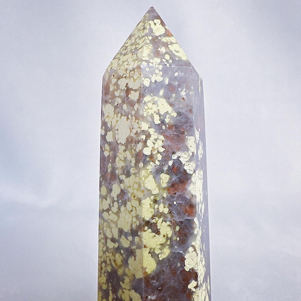 LINE_ALBUM_52452_231225_48