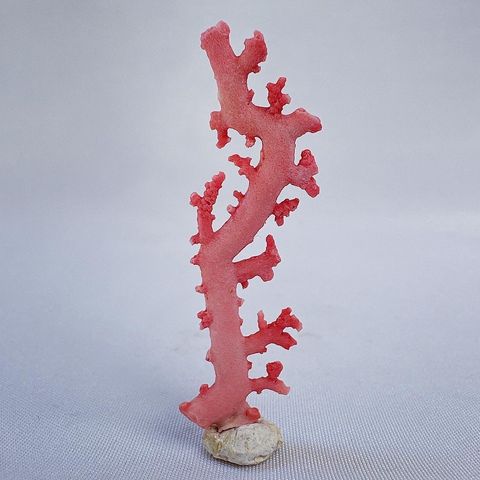 LINE_ALBUM_52454_231227_4