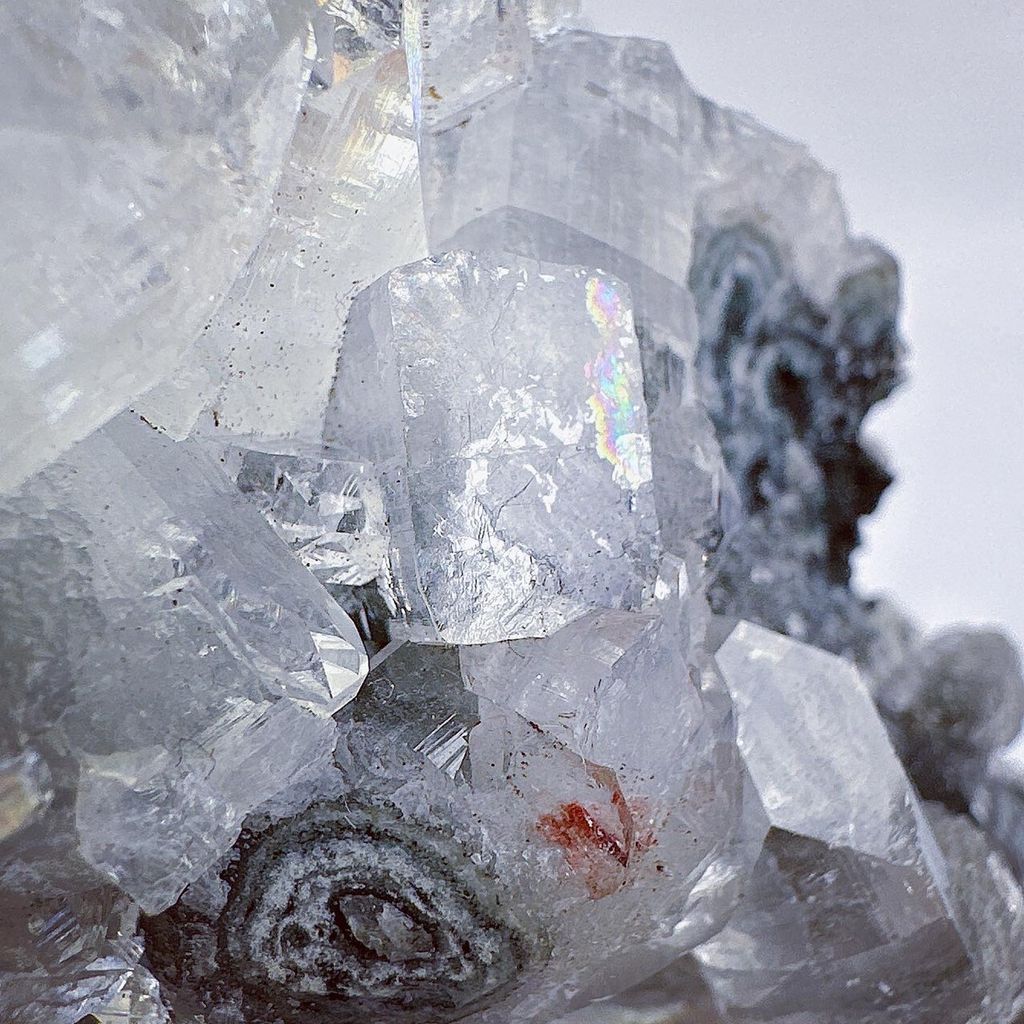 LINE_ALBUM_52454_231227_6