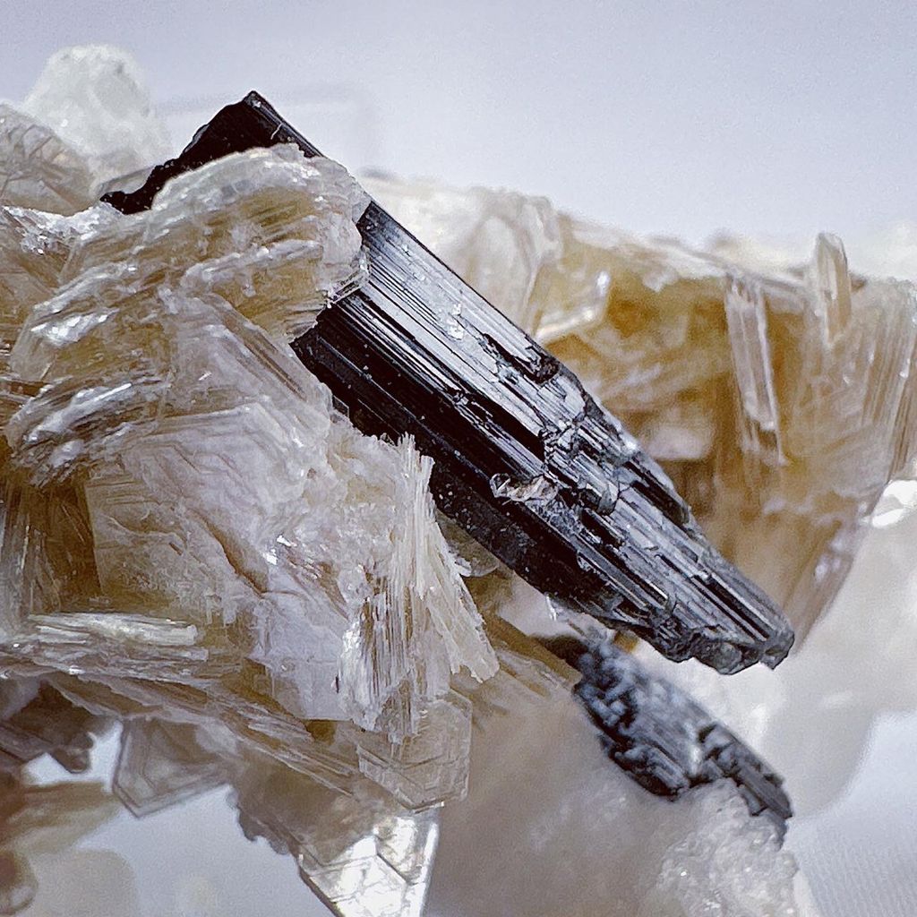 LINE_ALBUM_52456_231228_51