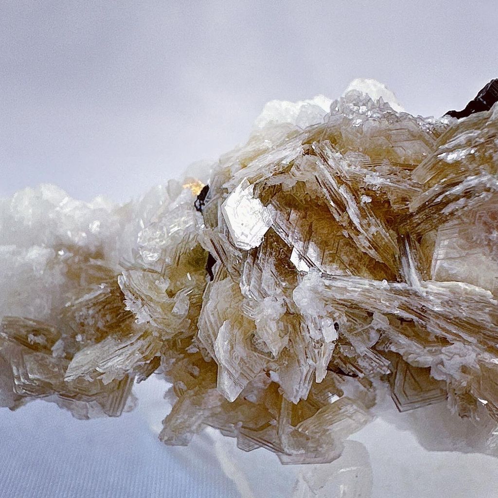 LINE_ALBUM_52456_231228_50