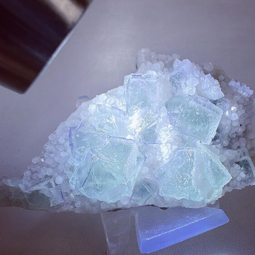 LINE_ALBUM_52458_240101_7