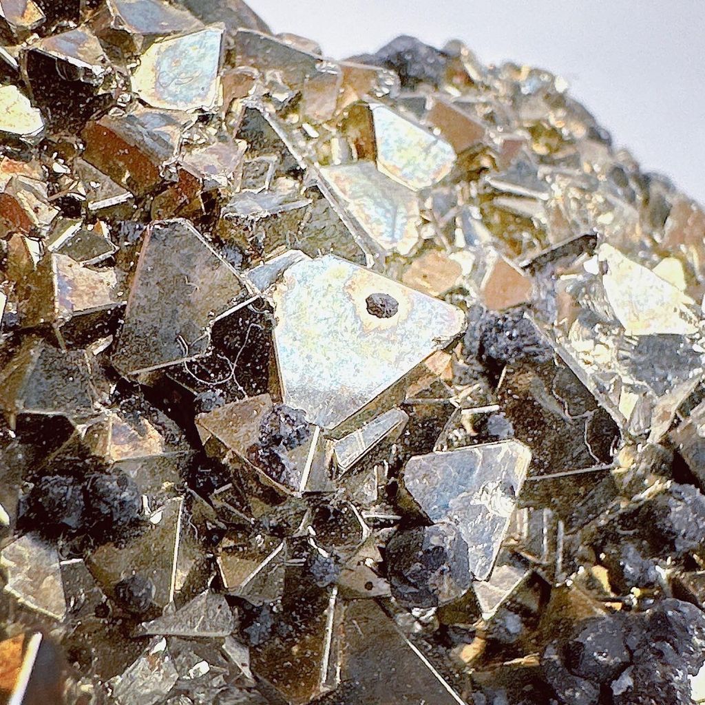 LINE_ALBUM_60204_240101_6