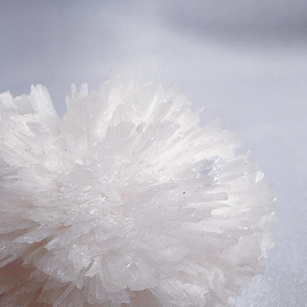 LINE_ALBUM_60204_240101_40