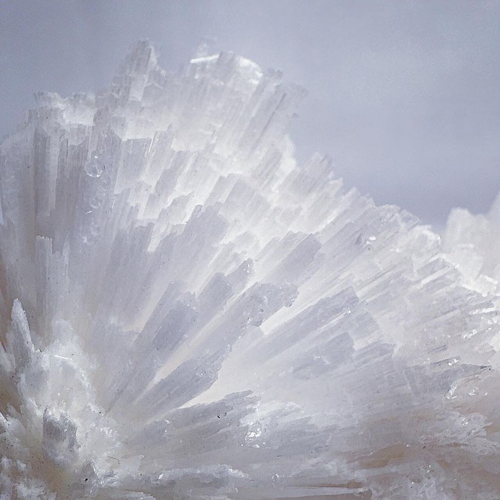 LINE_ALBUM_60204_240101_38