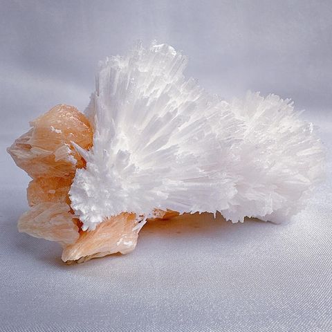 LINE_ALBUM_60204_240101_41