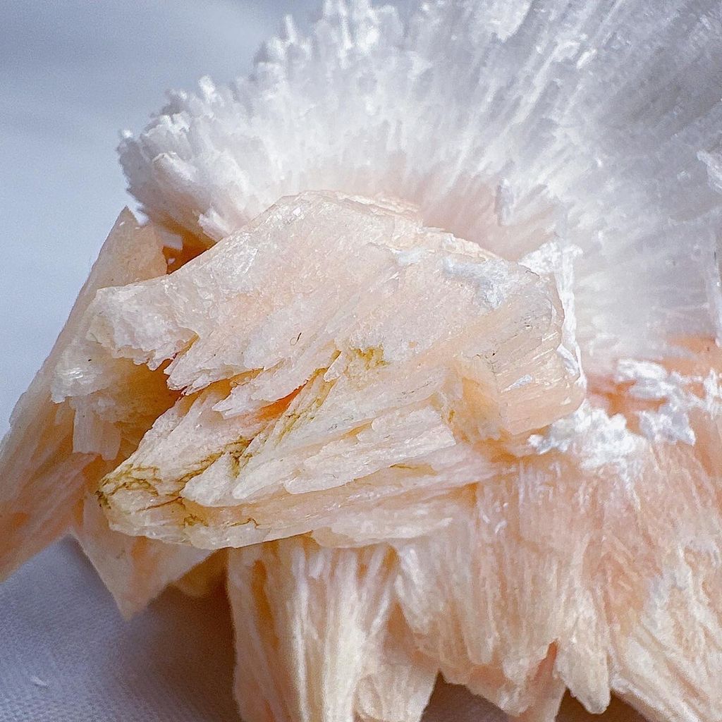 LINE_ALBUM_60204_240101_37