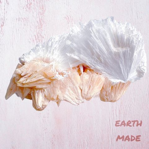 LINE_ALBUM_60204_240101_42