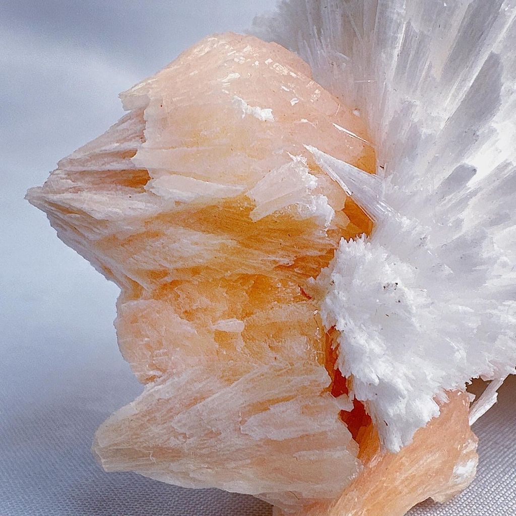 LINE_ALBUM_60204_240101_39