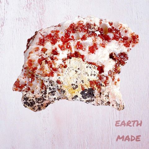 LINE_ALBUM_202412 _1_240103_18