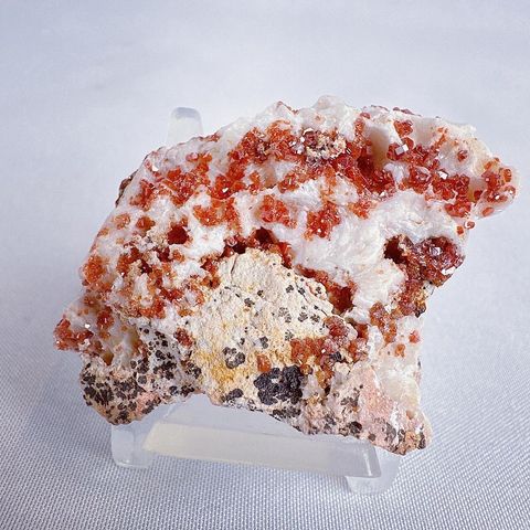 LINE_ALBUM_202412 _1_240103_17