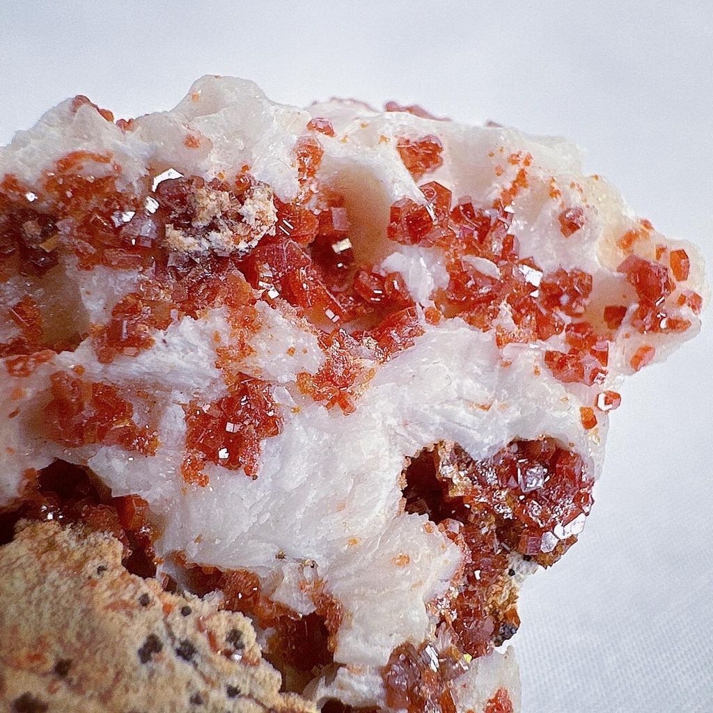 LINE_ALBUM_202412 _1_240103_15