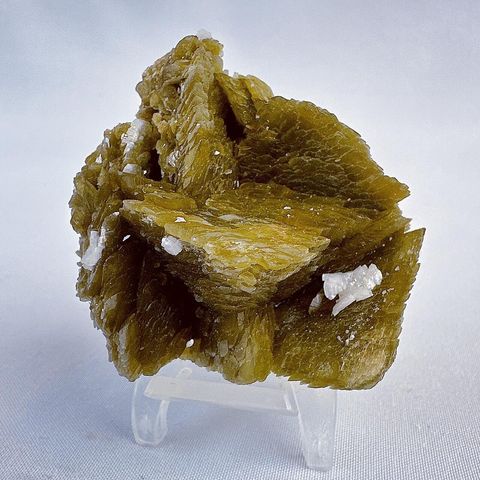 LINE_ALBUM_202414 _1_240104_35