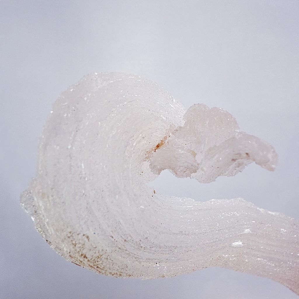 LINE_ALBUM_60212_240104_57