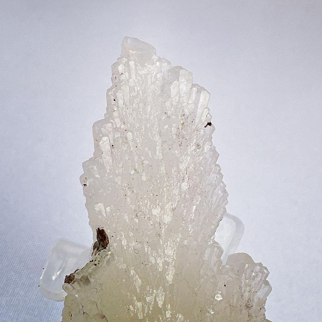 LINE_ALBUM_2024110_240110_26