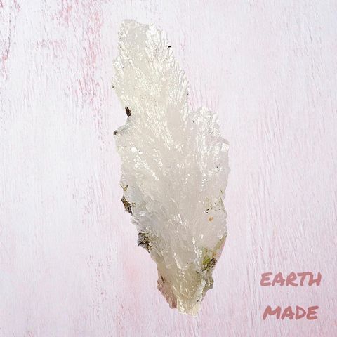 LINE_ALBUM_2024110_240110_30