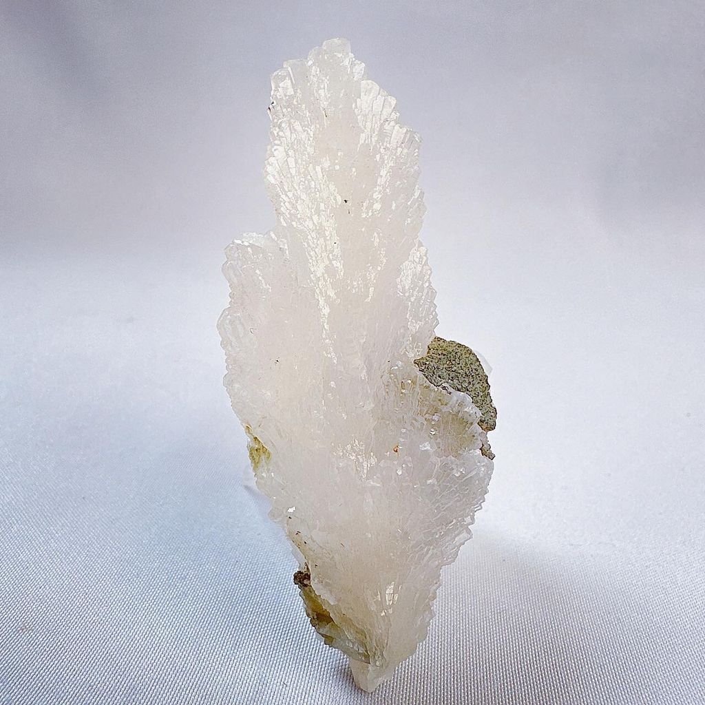 LINE_ALBUM_2024110_240110_29