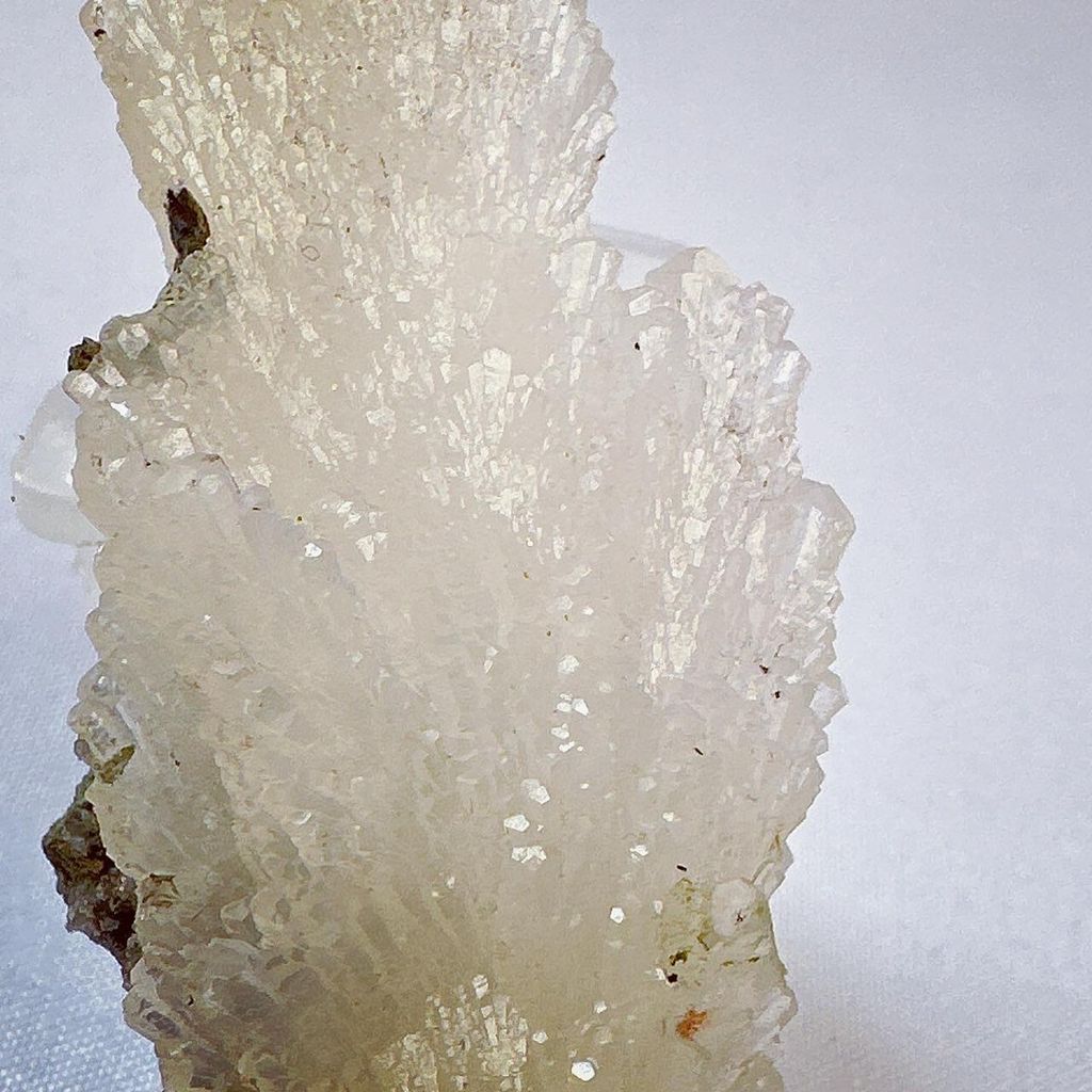 LINE_ALBUM_2024110_240110_27