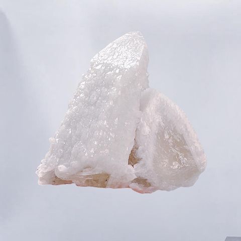 LINE_ALBUM_2024110_240110_43