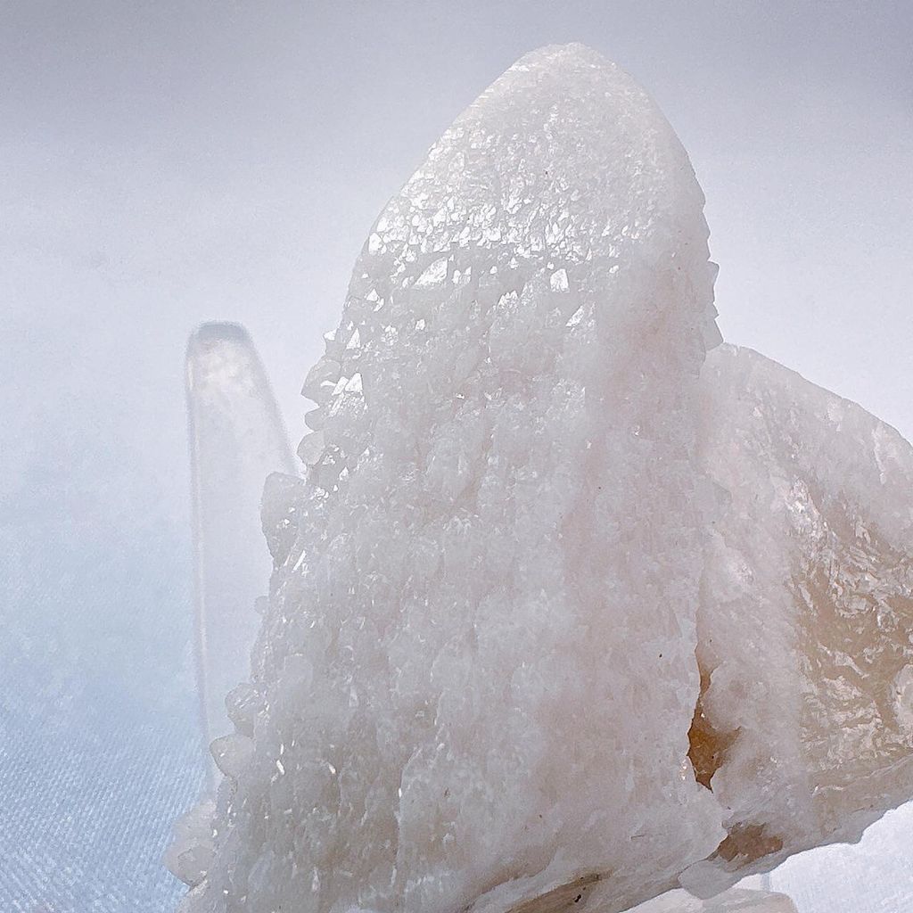 LINE_ALBUM_2024110_240110_41